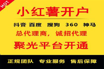 百度搜索引擎优化推广：成功案例揭秘